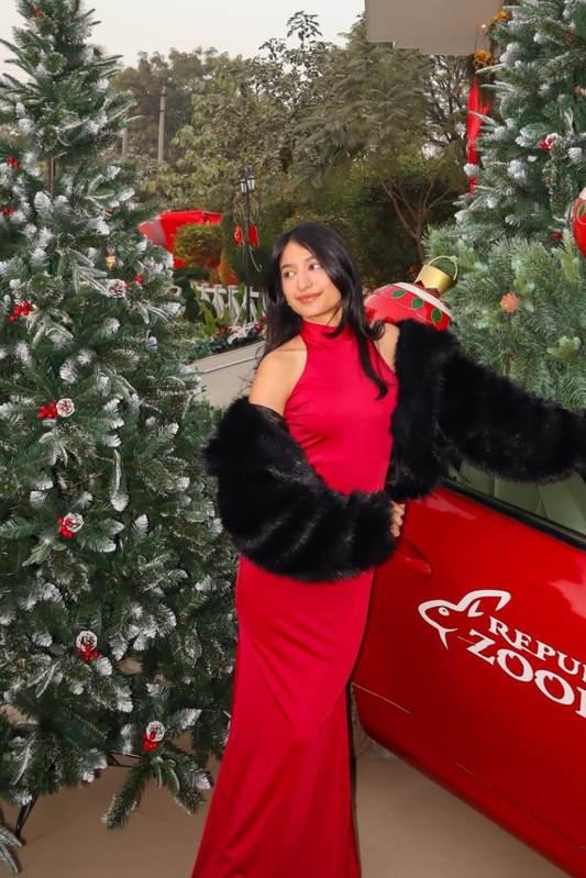 Arushi in Red Halter Neck Maxi Dress - Ether Dress (Cherry)